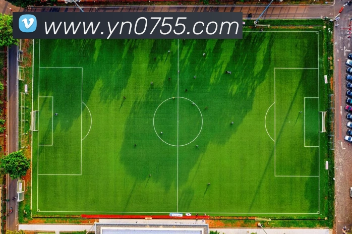 StarSky Sports平台生态图